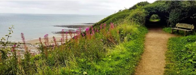 21369480_1564904423568641_4941886198744124681_n