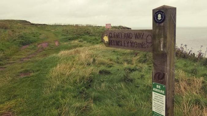 21430551_1566402616752155_1995489723159447474_n